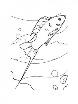 Раскраска Аквариумная рыбка 17 - Бесплатно распечатать