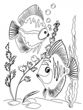 Раскраска Аквариумная рыбка 1 - Бесплатно распечатать