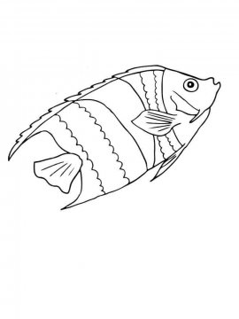 Раскраска Аквариумная рыбка 7 - Бесплатно распечатать
