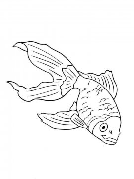 Раскраска Аквариумная рыбка 8 - Бесплатно распечатать