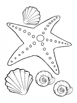 Раскраска Морская звезда 15 - Бесплатно распечатать