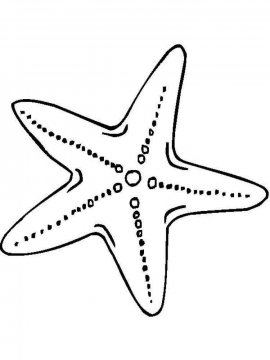 Раскраска Морская звезда 22 - Бесплатно распечатать