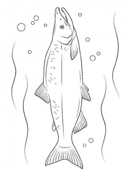 Раскраска Морские рыбы 13 - Бесплатно распечатать