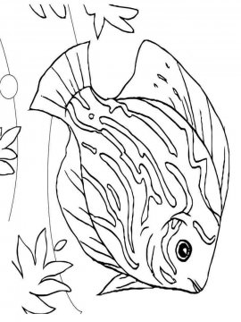 Раскраска Морские рыбы 5 - Бесплатно распечатать