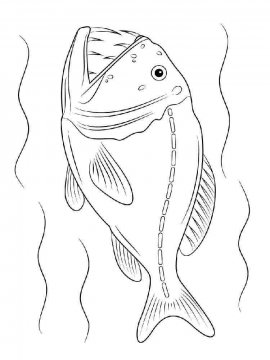 Раскраска Морские рыбы 6 - Бесплатно распечатать
