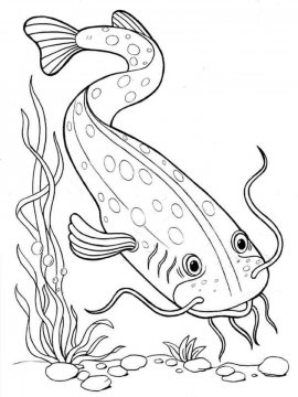 Раскраска Речная рыба 1 - Бесплатно распечатать
