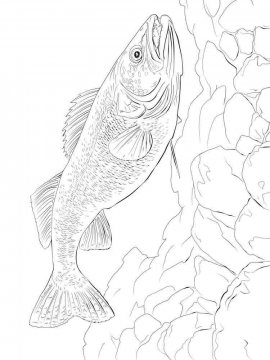 Раскраска Речная рыба 13 - Бесплатно распечатать