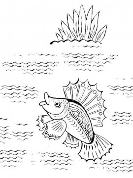 Раскраска Речная рыба 14 - Бесплатно распечатать