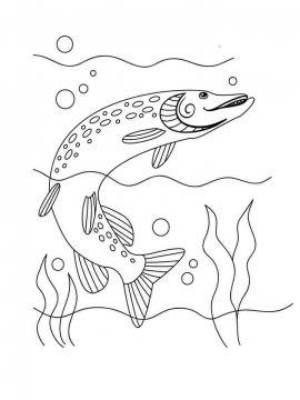 Раскраска Речная рыба 4 - Бесплатно распечатать