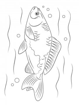 Раскраска Речная рыба 5 - Бесплатно распечатать