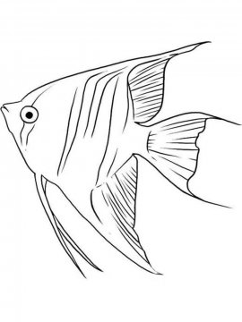 Раскраска Рыба Ангел 10 - Бесплатно распечатать