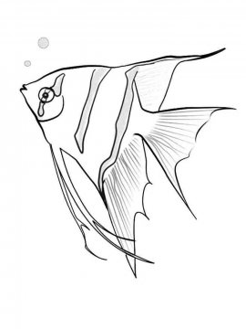 Раскраска Рыба Ангел 6 - Бесплатно распечатать