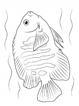 Раскраска Рыба Ангел 9 - Бесплатно распечатать