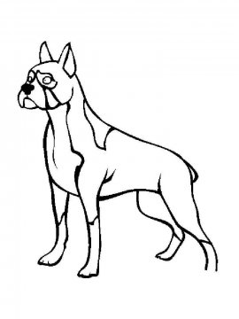 Раскраска Собака Боксер 3 - Бесплатно распечатать