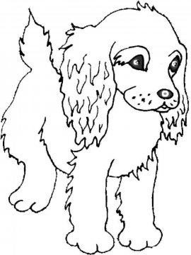 Раскраска Собака 39 - Бесплатно распечатать
