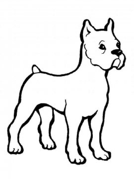 Раскраска Собака 14 - Бесплатно распечатать
