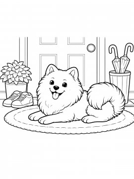 Раскраска пушистая собака породы шпиц лежит на коврике у двери