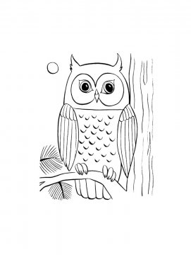 Раскраска Сова 18 - Бесплатно распечатать