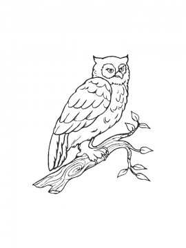 Раскраска Сова 22 - Бесплатно распечатать
