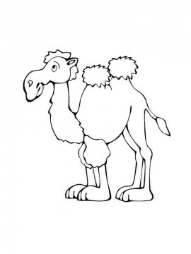 Раскраска Верблюд 30 - Бесплатно распечатать