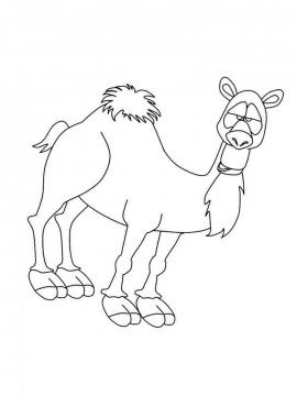 Раскраска Верблюд 33 - Бесплатно распечатать