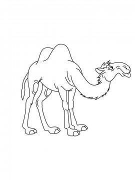 Раскраска Верблюд 24 - Бесплатно распечатать