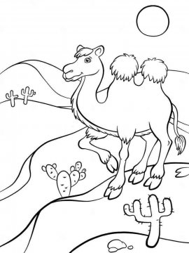 Раскраска Верблюд 14 - Бесплатно распечатать