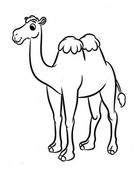 Раскраска Верблюд 16 - Бесплатно распечатать