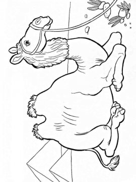 Раскраска Верблюд 17 - Бесплатно распечатать