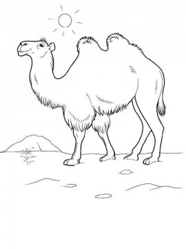 Раскраска Верблюд 3 - Бесплатно распечатать