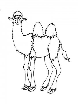 Раскраска Верблюд 4 - Бесплатно распечатать