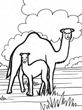 Раскраска Верблюд 6 - Бесплатно распечатать