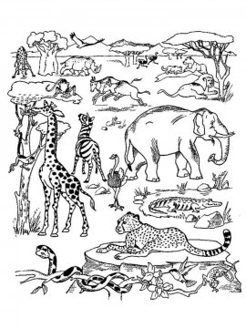 Раскраска Животные Африки 29 - Бесплатно распечатать