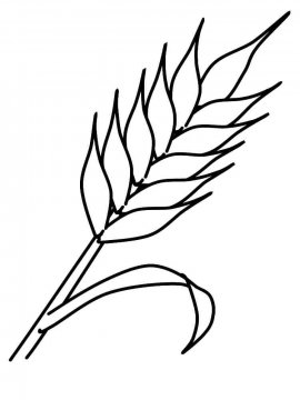 Раскраска Пшеница 1 - Бесплатно распечатать