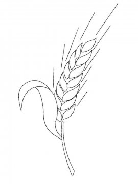 Раскраска Пшеница 2 - Бесплатно распечатать