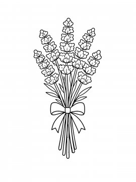 Раскраска мини-букет из стеблей лаванды, перевязанный узкой лентой