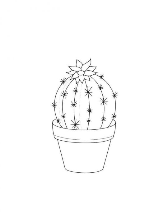 Рисунки кактуса для срисовки