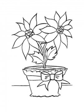 Раскраска Комнатное растение 15 - Бесплатно распечатать