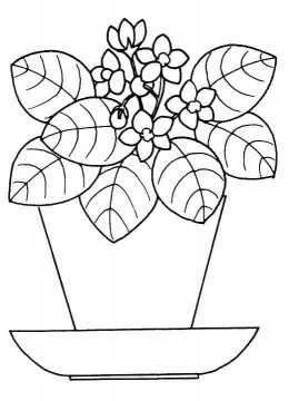 Раскраска Комнатное растение 16 - Бесплатно распечатать
