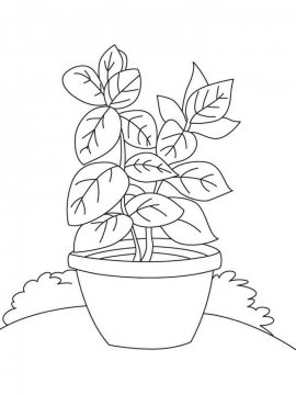 Раскраска Комнатное растение 3 - Бесплатно распечатать