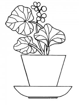 Раскраска Комнатное растение 6 - Бесплатно распечатать