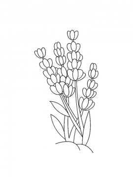 Раскраска Полевые цветы 11 - Бесплатно распечатать
