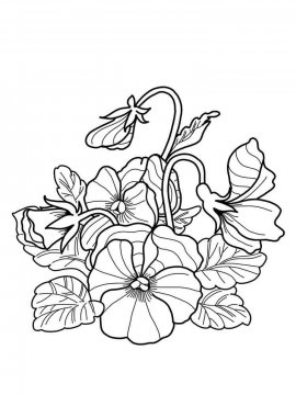 Раскраска Полевые цветы 14 - Бесплатно распечатать