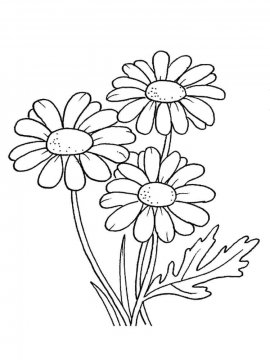 Раскраска Полевые цветы 19 - Бесплатно распечатать
