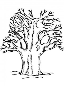 Раскраски Дерево без листьев - Бесплатно распечатать