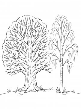 Raskraski Derevo Bez Listev 16