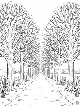 Raskraski Derevo Bez Listev 17