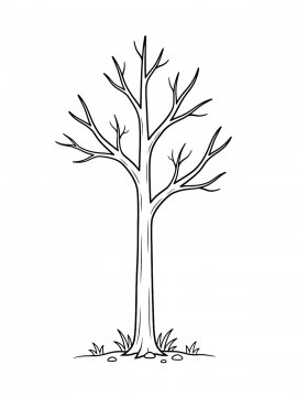 Raskraski Derevo Bez Listev 23