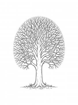 Raskraski Derevo Bez Listev 25