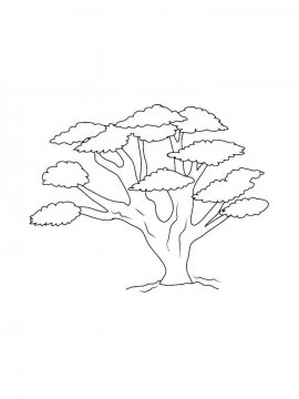 Раскраска Дерево 31 - Бесплатно распечатать